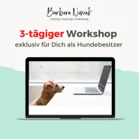 Onlineworkshop für Hundebesitzer