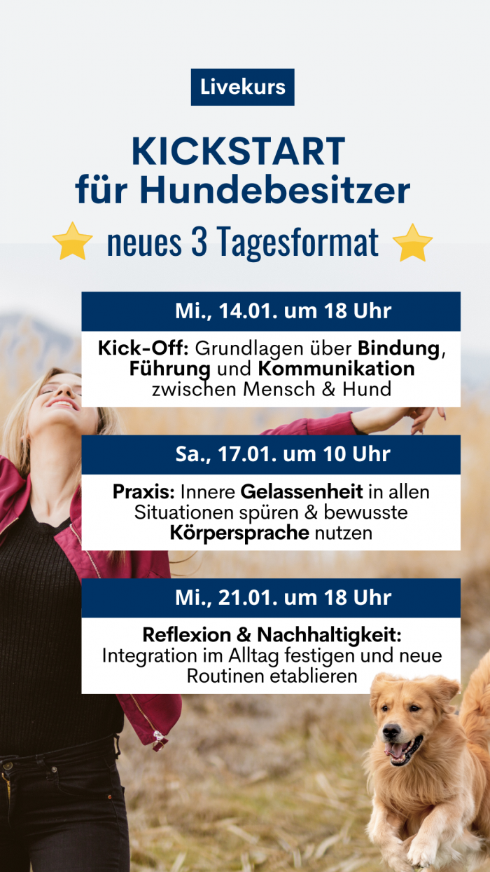 Kickstart_Jan26_Stundenplan mobil